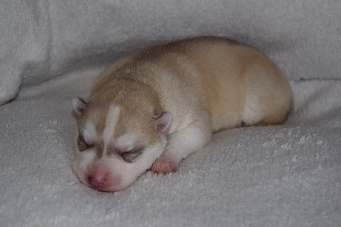 Naissance le 9 janvier 2026